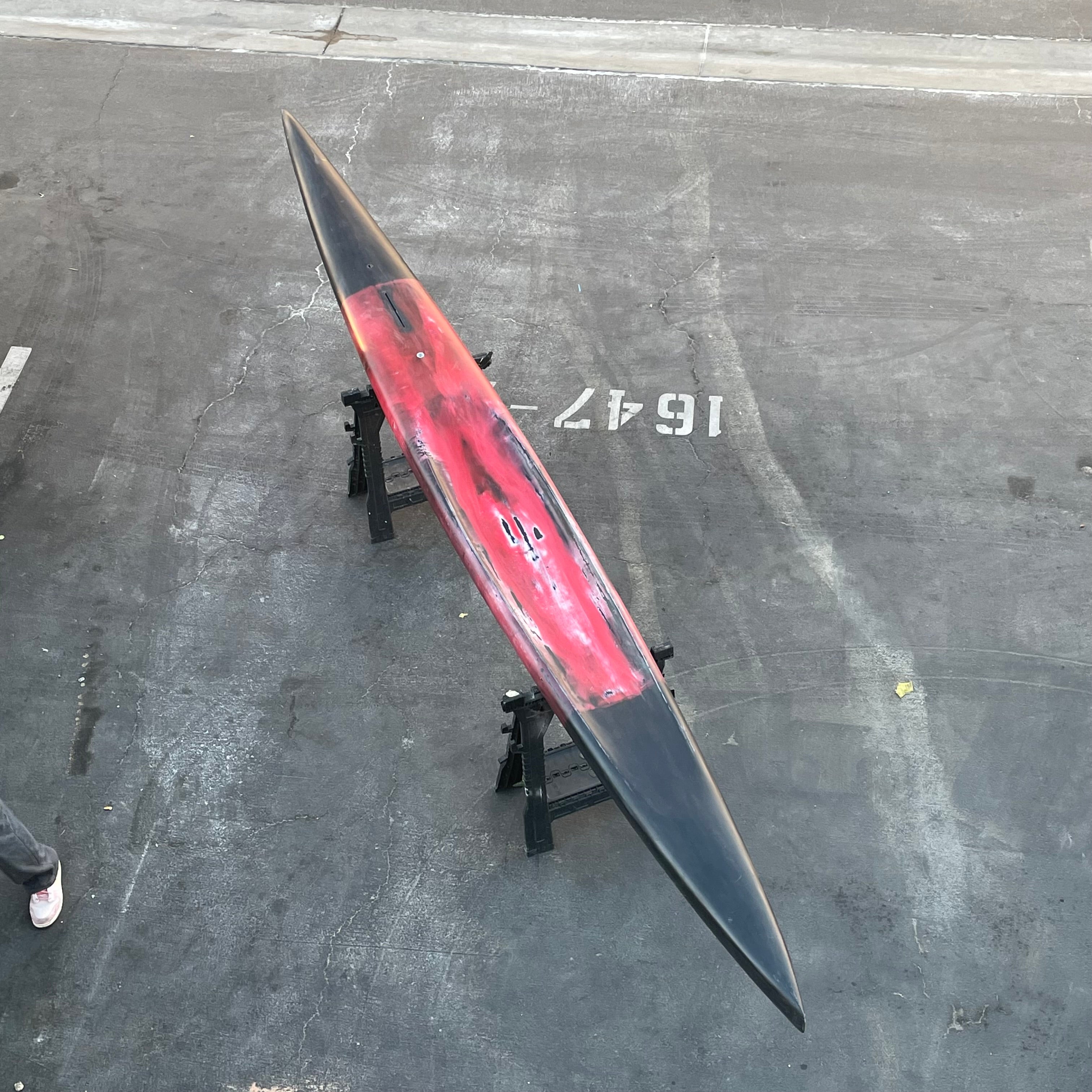 19’ PRONE PADDLEBOARD - California Sheephead